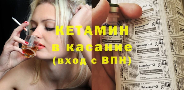 прущие грибы Няндома